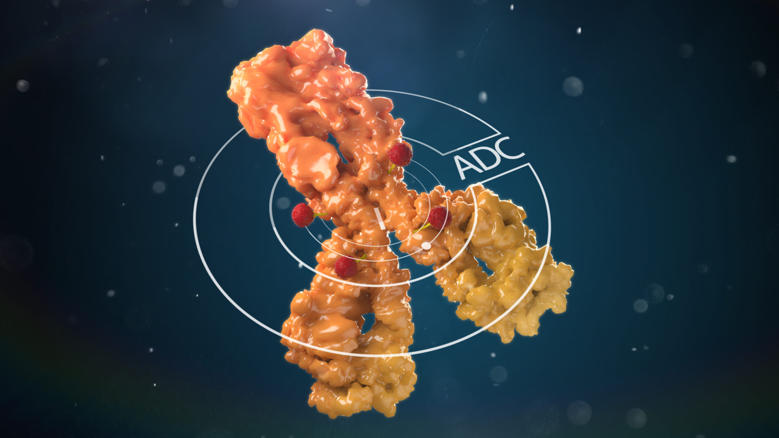 中國ADC藥物“開門紅”