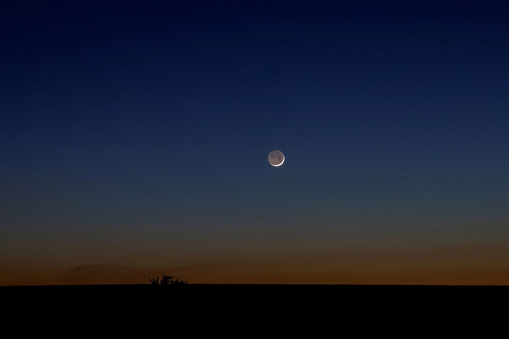 俄羅斯總統普京希望烏克蘭在前線實現停火