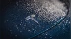 特斯拉即將暴跌92%？頂級基金經理唱衰：只值15美元