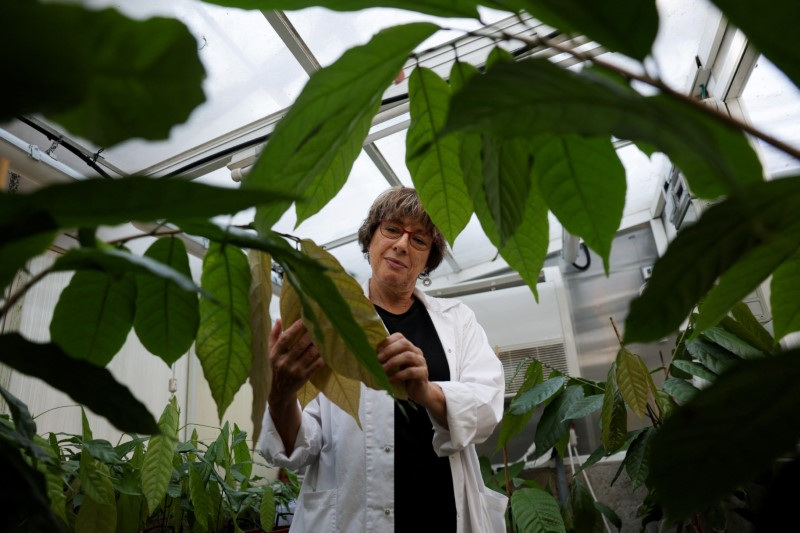 以色列對在前線條件下倖存下來的 “超級英雄 “可哥寄予厚望