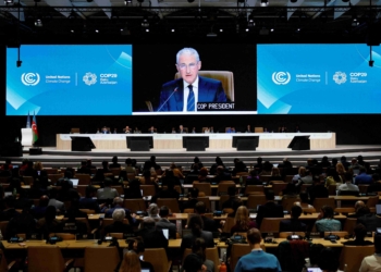 面對喜憂參半的 COP29 氣候資訊，企業界尋求詳細資訊