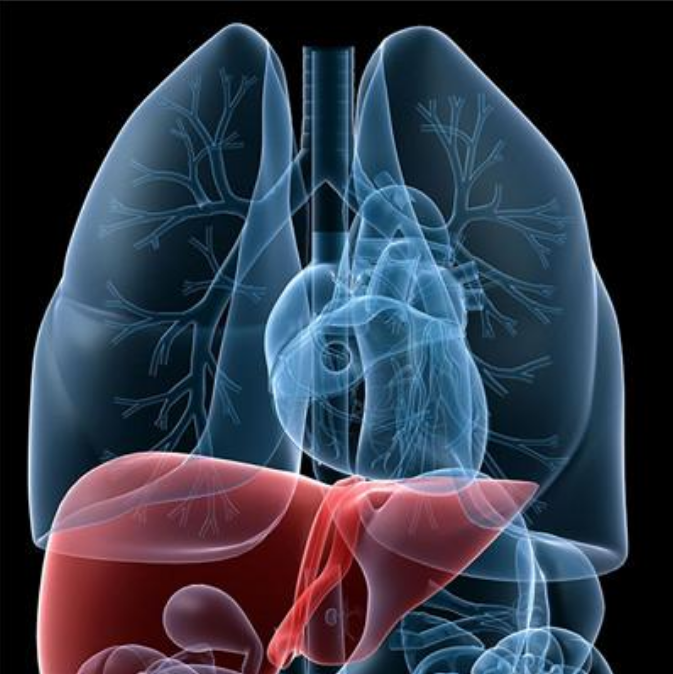 中國加速消除病毒性肝炎危害