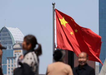 為了祖國 中國的愛國者正在購買跌勢