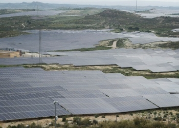 美國關稅、歐洲經濟放緩重塑全球太陽能電池板貿易