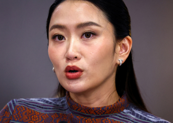 佩通坦·欽那瓦，泰國總理，面臨困境