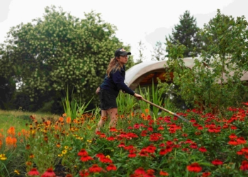 倫敦基尤花園開放碳花園以突出氣候危機