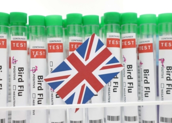 英國確認英格蘭西南部爆發H5N1禽流感