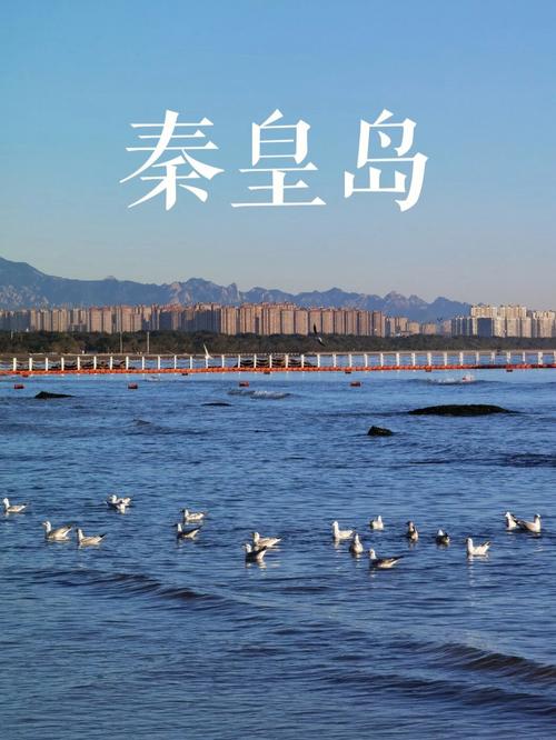 釋放山海魅力 推動文體旅融合