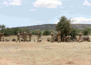 肯雅議員指出英國軍隊存在’令人不安的違紀行為趨勢’